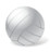 Volleyball Ball Icon